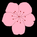 WWW,av210·COM网站APPAPP应用